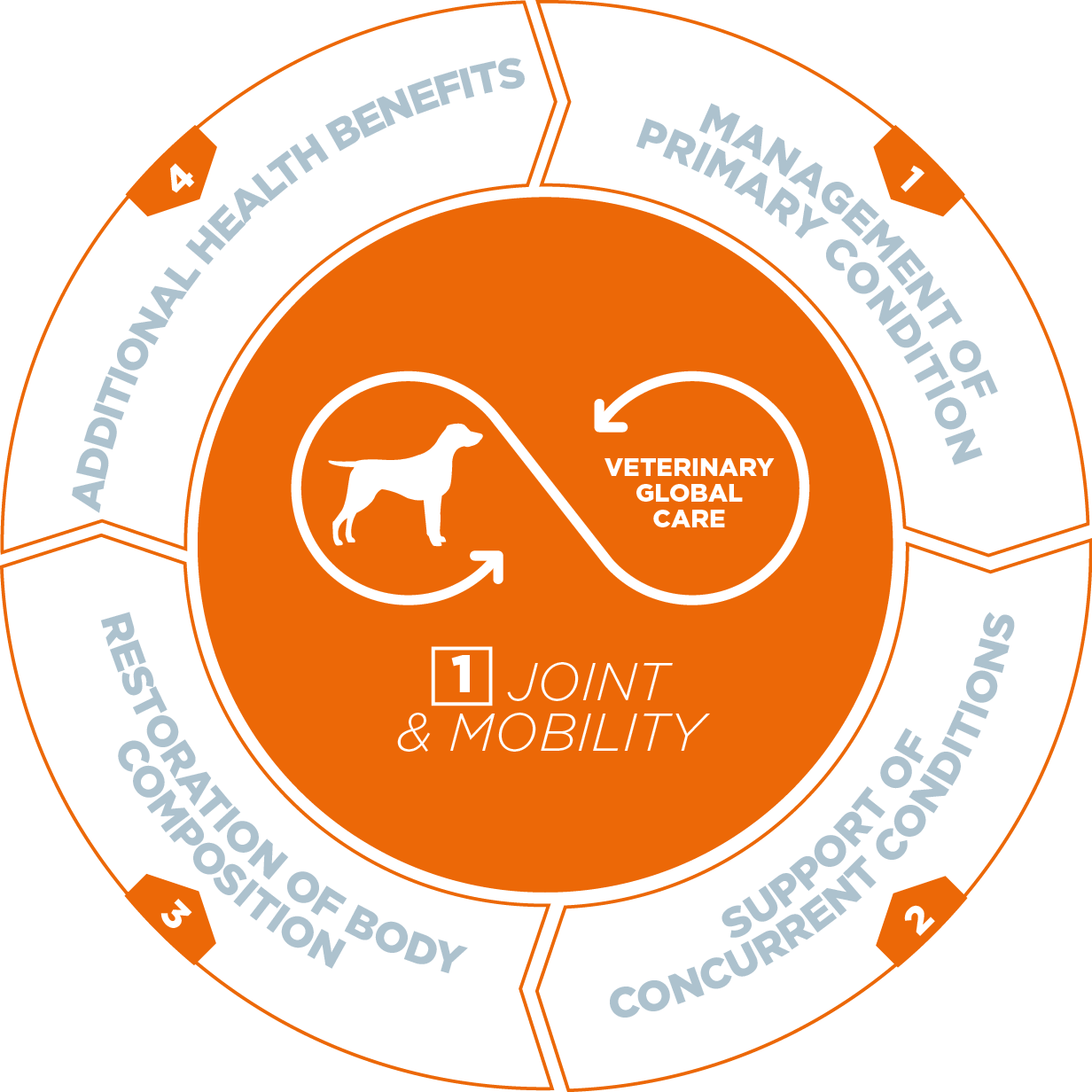 VETERINARY HPM® Joint & Mobility